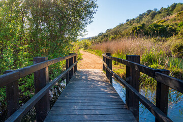 Obraz premium Narrow wooden bridge over a river, with a dirt road, in a natural setting, with a blue sky.