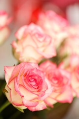 Obraz na płótnie Canvas Bouquet of pink roses on a holiday