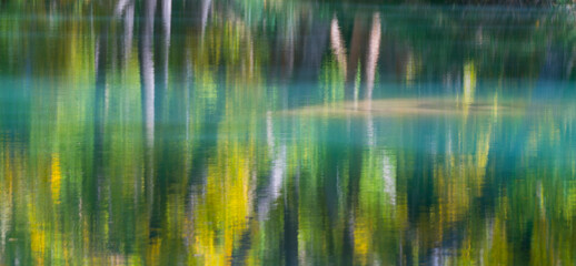 POPULUS - CHOPO, Hoz del Júcar, Cuenca, Castilla - La Mancha, Spain, Europe