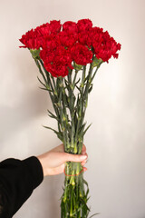 Large bouquet of red carnations in hand