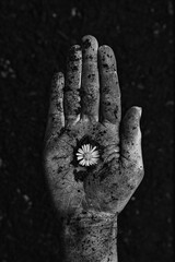 Hand mit Blume schwarz weiß