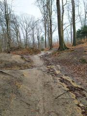 Steep pathway through forest after rain with slippery hiking trail as cliffy trekking trail in natural environment with geological interesting scene in tranquil fall and winter scenery with trees