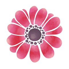 水彩風　華やかな赤色のアネモネの花