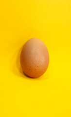 One chicken raw egg on yellow background. Farm products. 