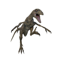 Obraz na płótnie Canvas Deinonychus dinosaur attacking. 3D illustration isolated on white background.