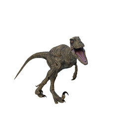Obraz premium Deinonychus dinosaur. 3D illustration isolated on white background.