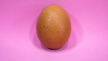 One chicken egg on a pink background. Copy space for text.