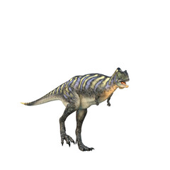 Aucasaurus dinosaur walking. 3D illustration isolated on white background.
