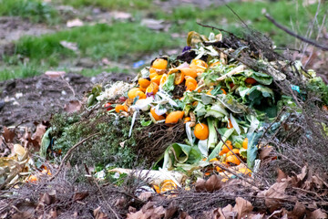 Rests of oranges and cabbage are composted on a compost heap for gardening and new plants in spring...
