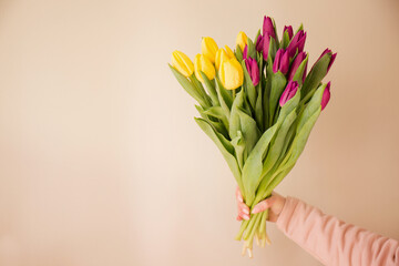 tulips in hand