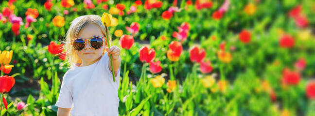 panorama - cute little girl is holding tulips in hand
