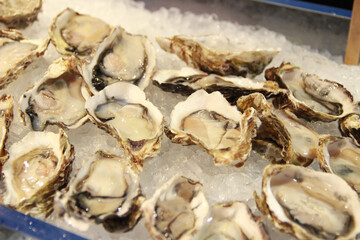 International Buffet - Oyster on Ice
