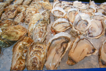 International Buffet - Oyster on Ice