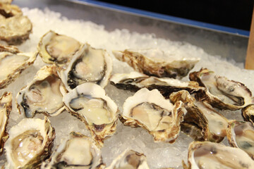 International Buffet - Oyster on Ice