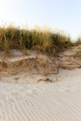 Fototapeta na wymiar Sand dunes on the beach along the North Sea coast in St. Peter-Ording, Germany.