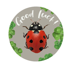 Good Luck Charm, red ladybug, with lucky four-leaf clover.