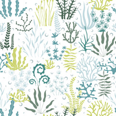 Sea seamless of seaweed and bubble. Hand drawn  seaweed and bubble seamless collection. Marine illustration. Ideal for fabric, wallpaper, wrapping paper, textile, bedding, t-shirt print.
