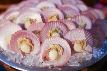 International Buffet - Scallop on Ice