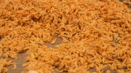 Marketplace in the city of Cádiz