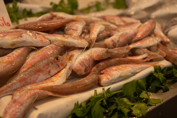Fresh fish. Marketplace in the city of Cádiz