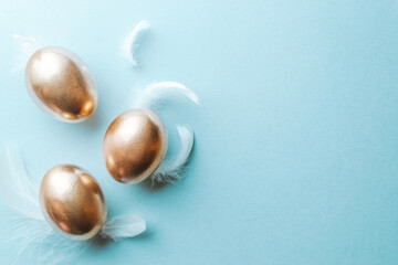 Easter symbol. Golden eggs, white feathers on pastel blue background in Happy Easter decoration. Congratulatory easter flat lay design.