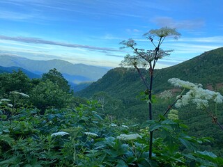 山の上から見た景色