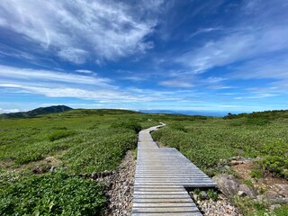 山の上から見た景色