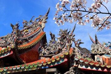 Spring in Taipei, Taiwan