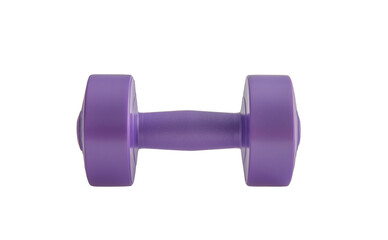 one female mauve plastic dumbbells for women