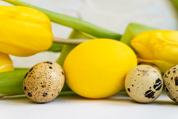 Happy easter.  Easter holiday background with  yellow chicken eggs, quail eggs and yellow tulips. Easter card. Easter and holidays concept.  Selective focus.