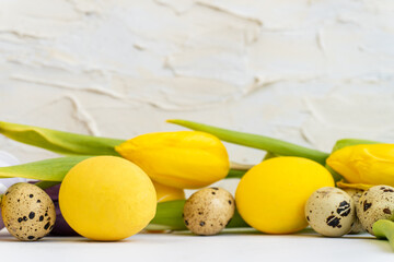 Happy easter.  Easter holiday background with  yellow chicken eggs, quail eggs and yellow tulips. Easter card. Easter and holidays concept.  Selective focus.