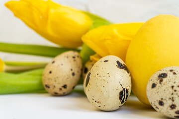 Obraz na płótnie Canvas Easter background with yellow chicken eggs, quail eggs and yellow tulips. Easter postcard. Spring and Easter holiday. Minimal easter concept. Selective focus.