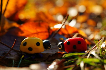 The figures of two ladybirds look at each other.