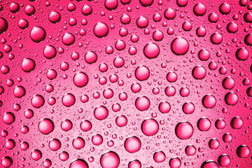 Pink water drops background. Wet glass surface texture. Bubble dew pattern. Transparent window raindrops. Perfectly round droplet design backdrop. Bright environment condensation texture.