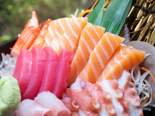 Japanese Menu - Sashimi Maguro and Salmon