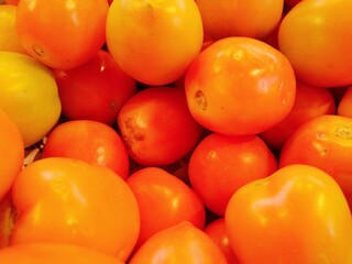 tomatoes at the market