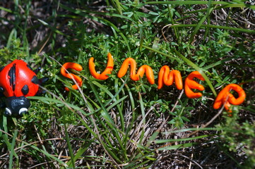 Figure of a ladybug made of plasticine in the green grass. Near the inscription in the summer.