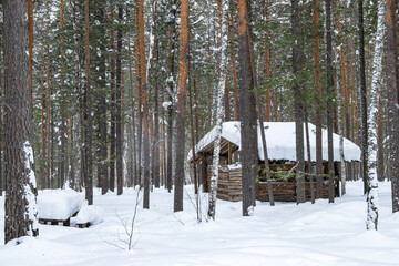 Old house in the winter forest.