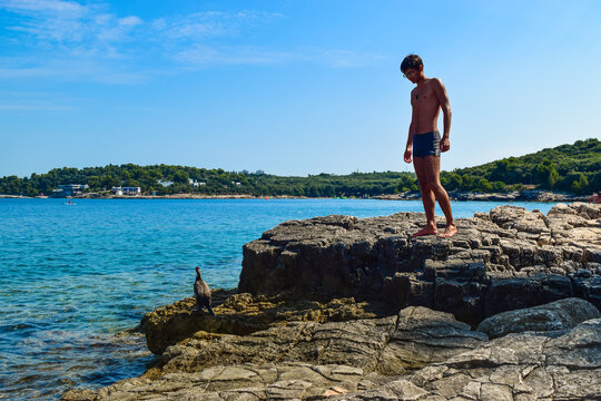 Silhouette of a young guy on a rocky Ambrela beach near the wild cormorant bird on the background of the Adriatic Sea. Pula. Croatia.