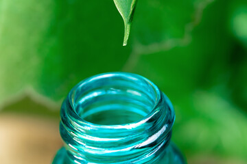 Essential oil, water, or serum is dripped from a fresh green leaf into an aquamarine-colored bottle with copy space. Alternative healthy medicine. Concept of ecology, medicine, cosmetology. Macro