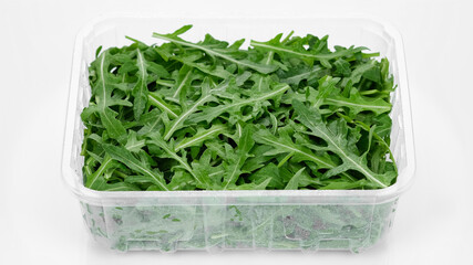 fresh arugula in container for delivery or sale on white background