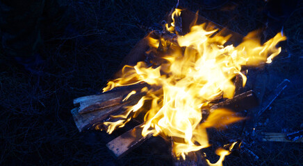 Bonfire