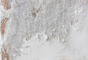 White wall texture peeled and cracked with mold