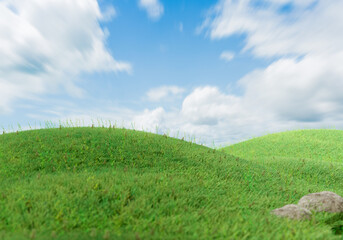 green field and blue sky, 3d rendering 