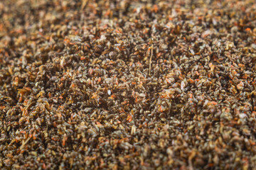 egg laying and very small flies
