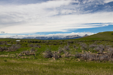 Naklejka premium Snow-covered mountain peaks, Glacier National Park, Montana