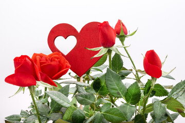 Detail of Red Roses in a floral arrangement with wooden heart, against a white background.