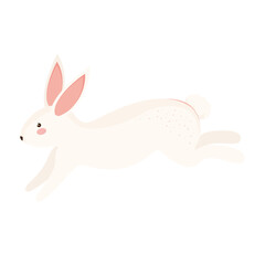 cute rabbit running
