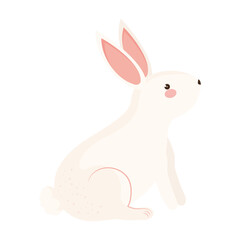 cute rabbit seated