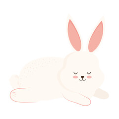 beauty rabbit lying